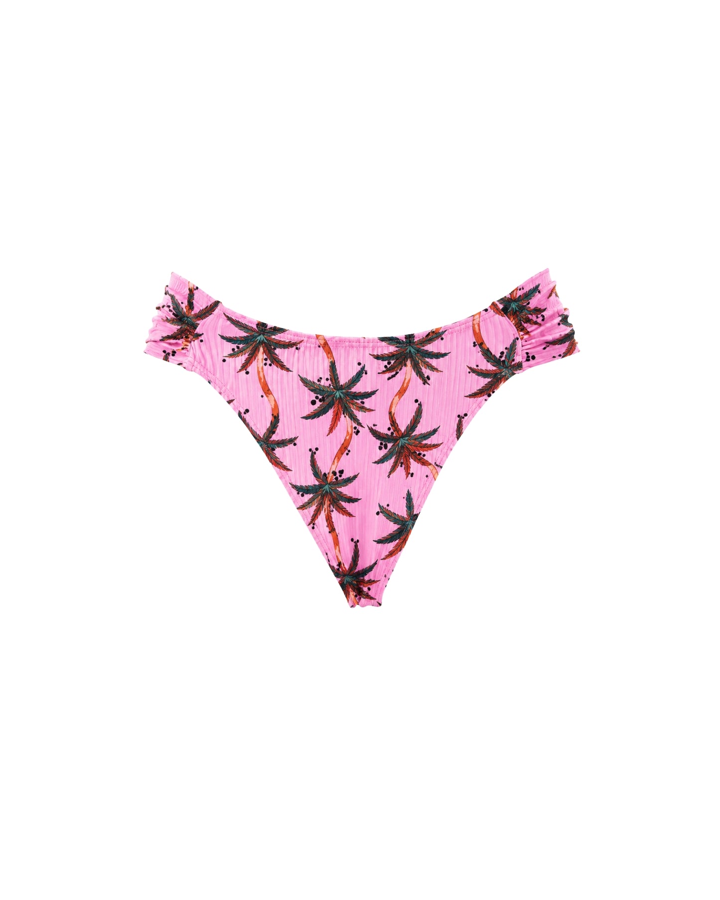 MARIPOSA PALM ROSA