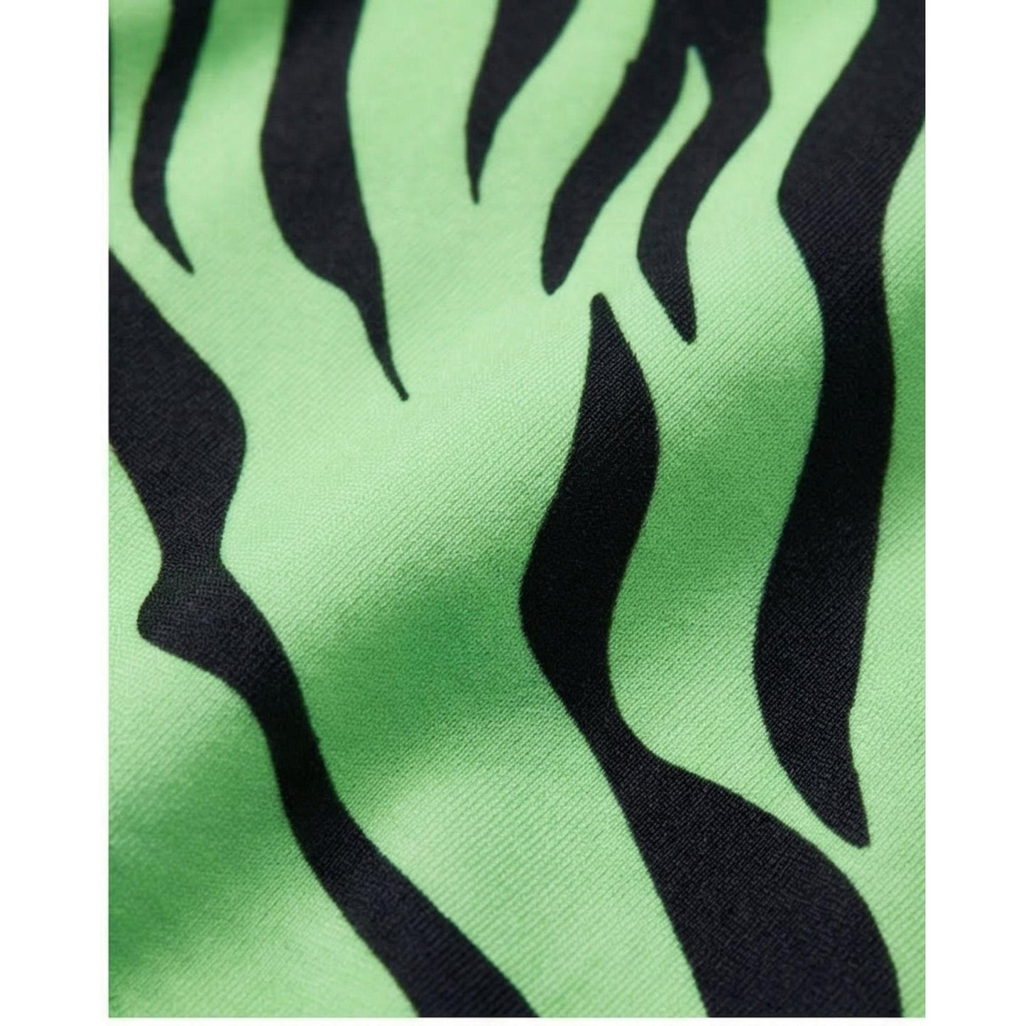 MARIPOSA CEBRA VERDE FLUOR %