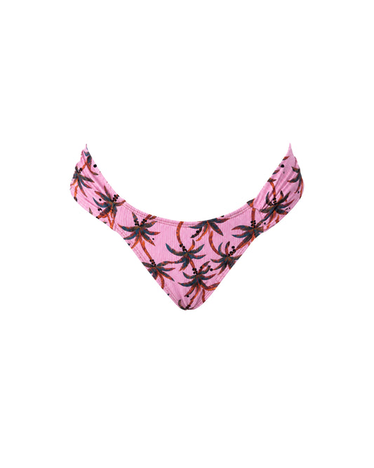 MARIPOSA PALM ROSA